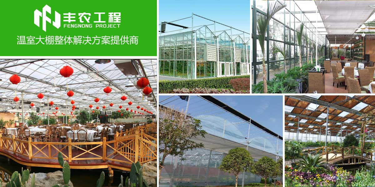 專業(yè)創(chuàng)造價值,服務(wù)贏得未來